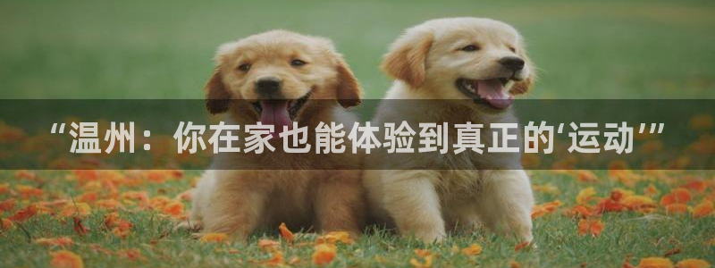 vsport体育官方正版app娱乐首页网站大全：“温