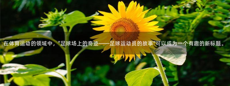 vsport体育官方平台体育：在体育运动的领域中，\