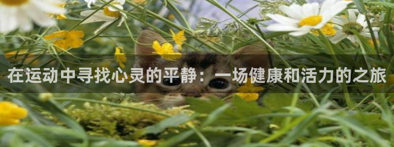 vsport体育官网下载平台注册：在运动中寻找心灵的平静：一