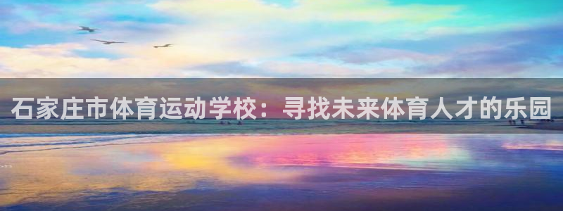 vsport体育官方正版app娱乐网站：石家庄市体育