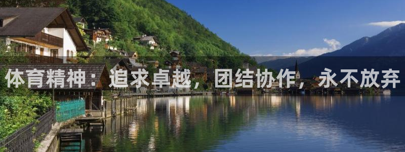 vsport体育官方正版app代理：体育精神：追求卓