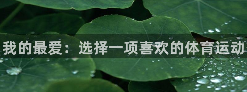 vsport体育官方正版app娱乐下载：我的最爱：选