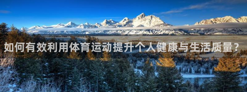 vsport体育官方正版app科技：如何有效利用体育