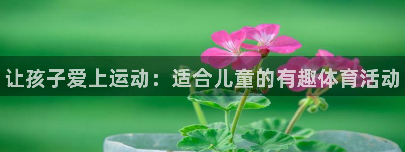 vsport体育官网下载平台是正规平台吗