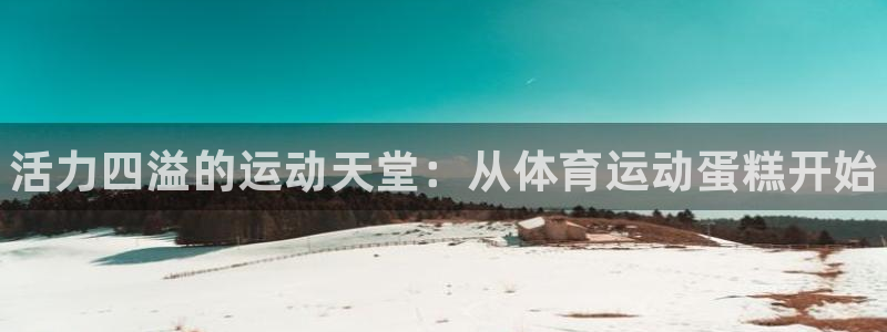 vsport体育官网下载平台注册流程视频：活力四溢的运动天堂