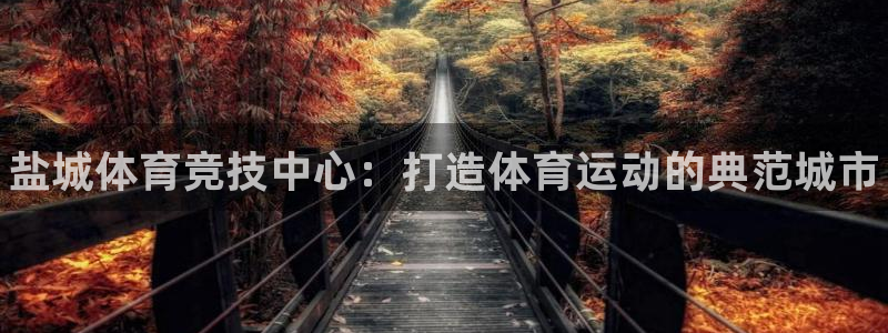 vsport体育官方平台体育：盐城体育竞技中心：打造