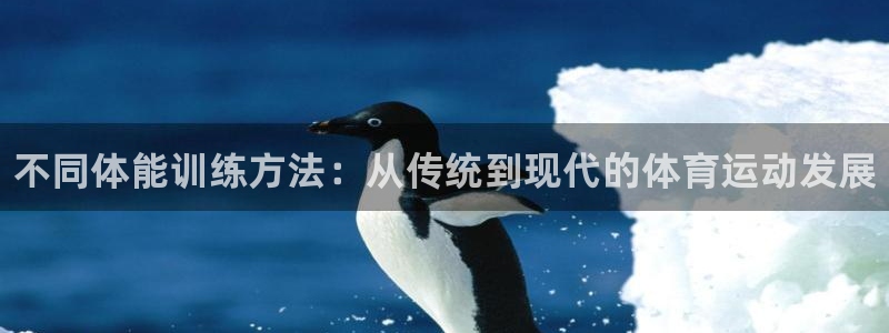 vsport体育官网下载平台APP：不同体能训练方法