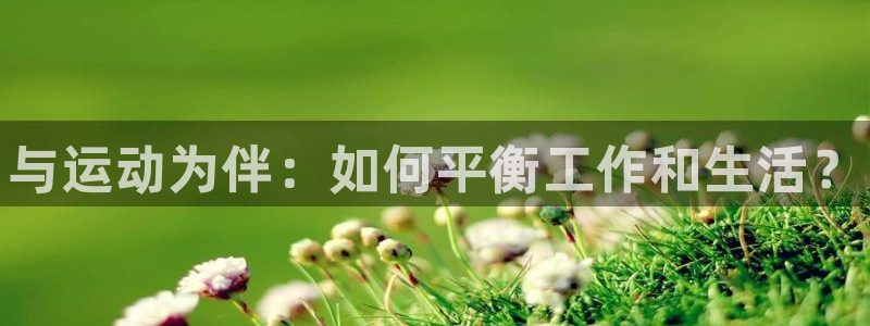vsport体育官方正版app娱乐是那个系列的台子：