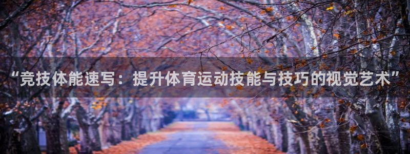 vsport体育官网下载平台