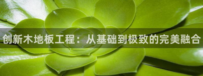 vsport体育官方正版app娱乐首页网站大全：创新