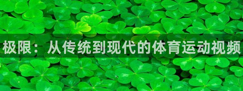 vsport体育官网下载平台：极限：从传统到现代的体