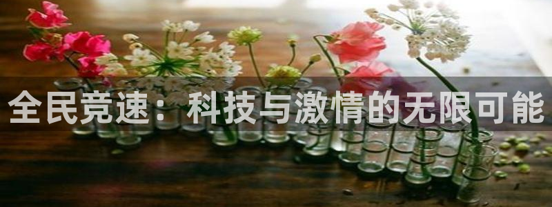 vsport体育官方正版app集团：全民竞速：科技与