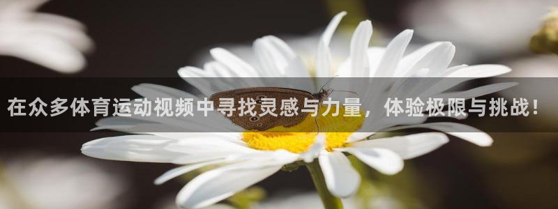 德国vsport体育官方正版app集团：在众多体育运