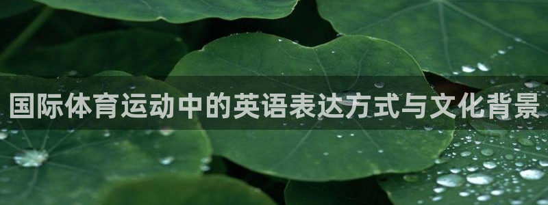 vsport体育官网下载：国际体育运动中的英语表达方式与文化