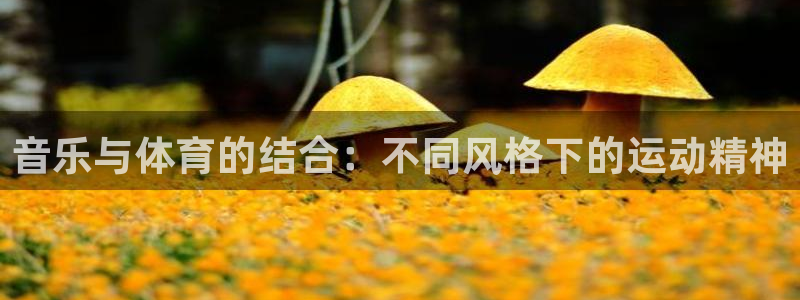 vsport体育官网下载联系电话