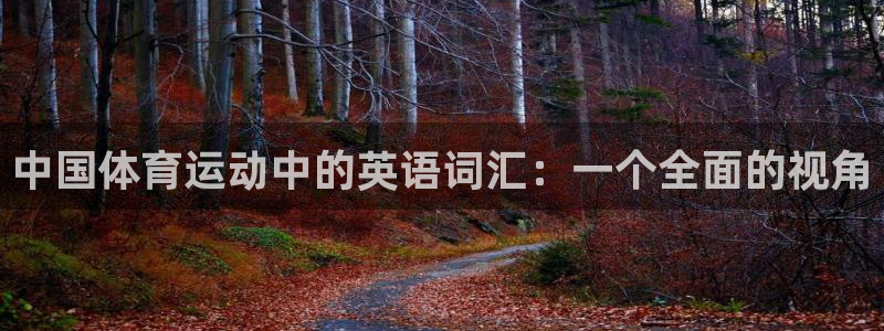 vsport体育官方正版app娱乐平台:中国体育运动中的英语