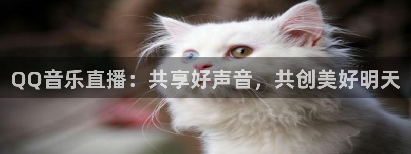 飞速直播nba在线观看：QQ音乐直播：共享好声音，共创美好明天
