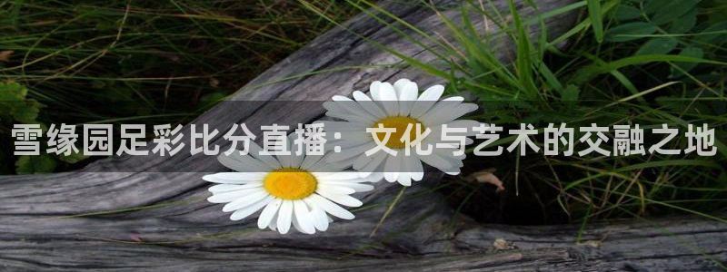 nba在线观看免费观看飞速直播：雪缘园足彩比分直播：文化与艺术的交融之地