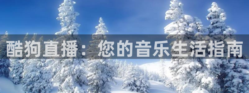 飞速nba直播吧