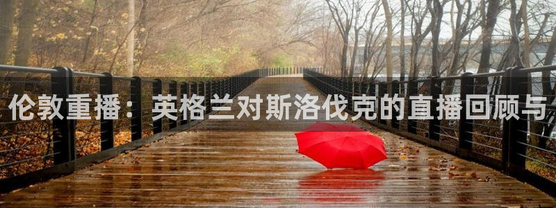 飞速体育直播