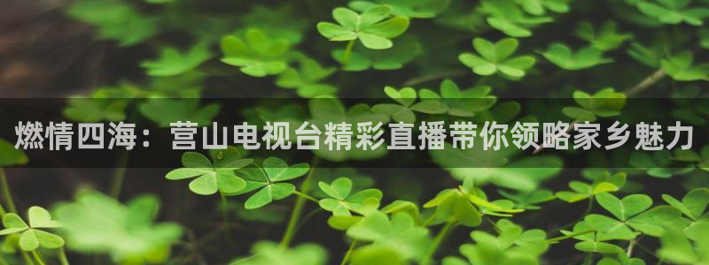 飞速体育nba无插件直播：燃情四海：营山电视台精彩直播带你领略家乡魅力