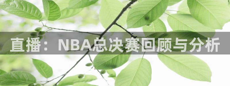 飞速体育nba无插件直播：直播：NBA总决赛回顾与分析