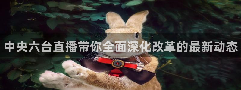 飞速直播nba无插件直播