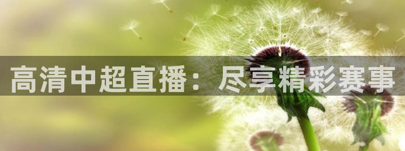 飞速直播体育app