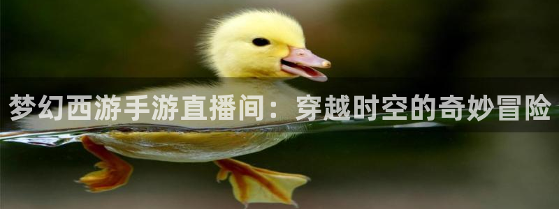 nba飞速视频直播：梦幻西游手游直播间：穿越时空的奇妙冒险