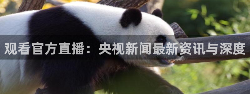 飞速直播体育app：观看官方直播：央视新闻最新资讯与深度