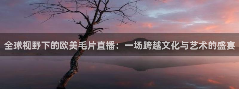飞速nba直播在线观看