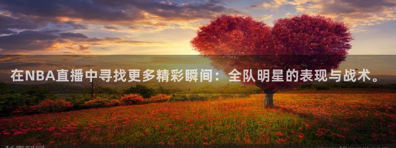 飞速nba直播在线直播：在NBA直播中寻找更多精彩瞬间：全队明星的表现与战术。